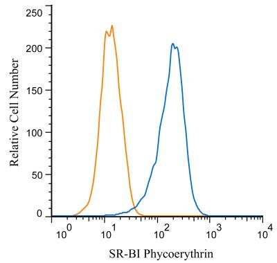 Flow Cytometry: SR-BI Antibody [PE] [NB400-104PE] - An intracellular stain was performed on HeLa cells with SR-BI antibody NB400-104PE (blue) and a matched isotype control NBP2-24893PE (orange). Cells were fixed with 4% PFA and then permeablized with 0.1% saponin. Cells were incubated in an antibody dilution of 1 ug/mL for 30 minutes at room temperature. Both antibodies were conjugated to Phycoerythrin.